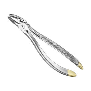 Extracting forceps, engl., sz.39R, diamond
