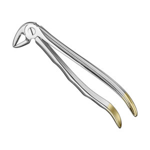 Extracting forceps, anat., size 33, diamond